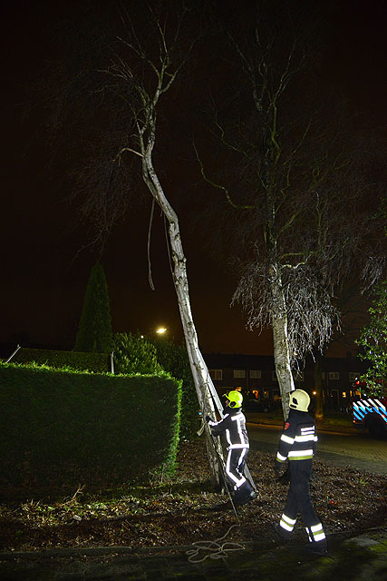 2015/6/gb_20150109_001_stormschade_pascalstraat.jpg