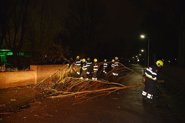 2017/261/20171231-07u04_gb_001_stormschade_rijstvogelstraat.jpg