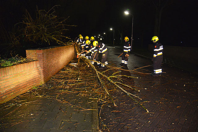 2017/261/20171231-07u06_gb_002_stormschade_rijstvogelstraat.jpg