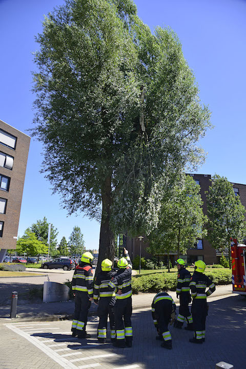 2018/152/20180701-12u52_gb_001_stormschade_franklinstraat.jpg