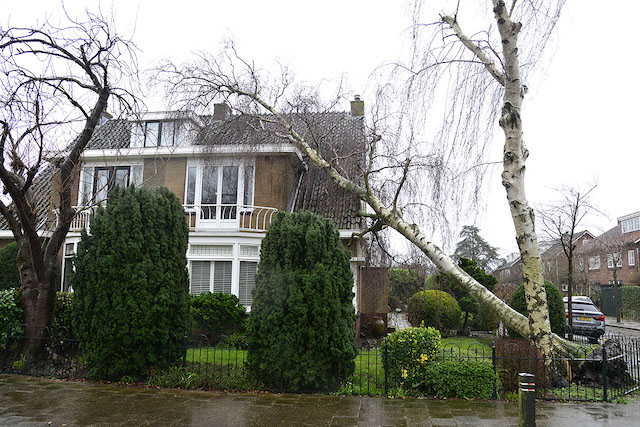 2022/27/20220206-11u47_gb_002_stormschade_rietwijckstraat.jpg