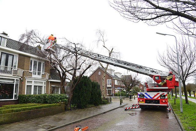 2022/27/20220206-12u08_gb_004_stormschade_rietwijckstraat.jpg