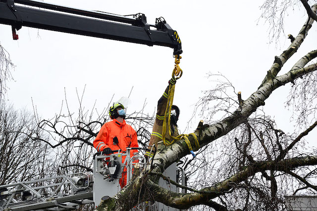 2022/27/20220206-12u27_gb_012_stormschade_rietwijckstraat.jpg