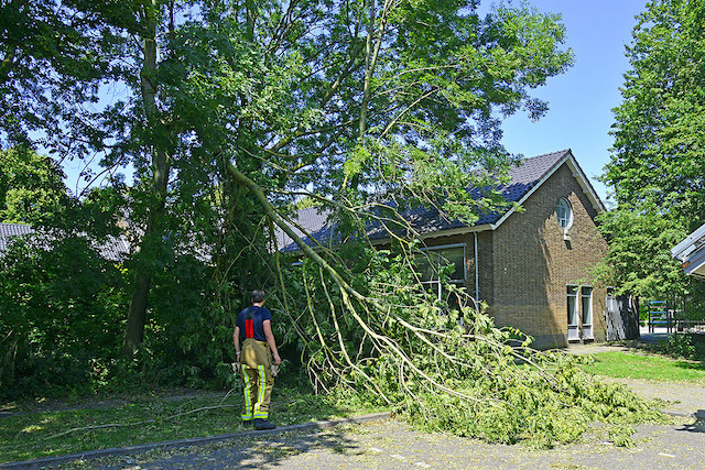 2023/125/20230708-14u22_gb_002_aanzegging_stormschade_arendstraat.jpg