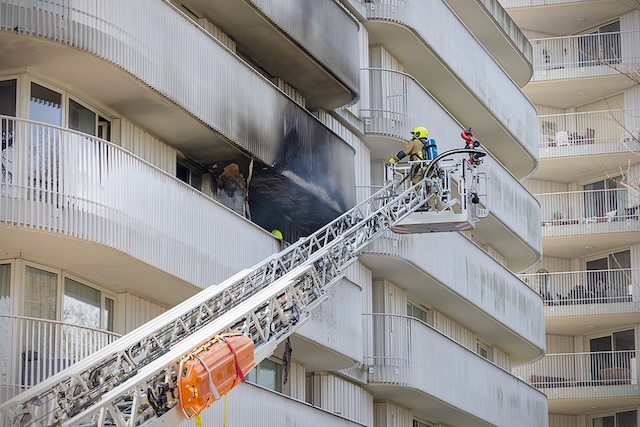 2025/49/JEF_6164.jpg